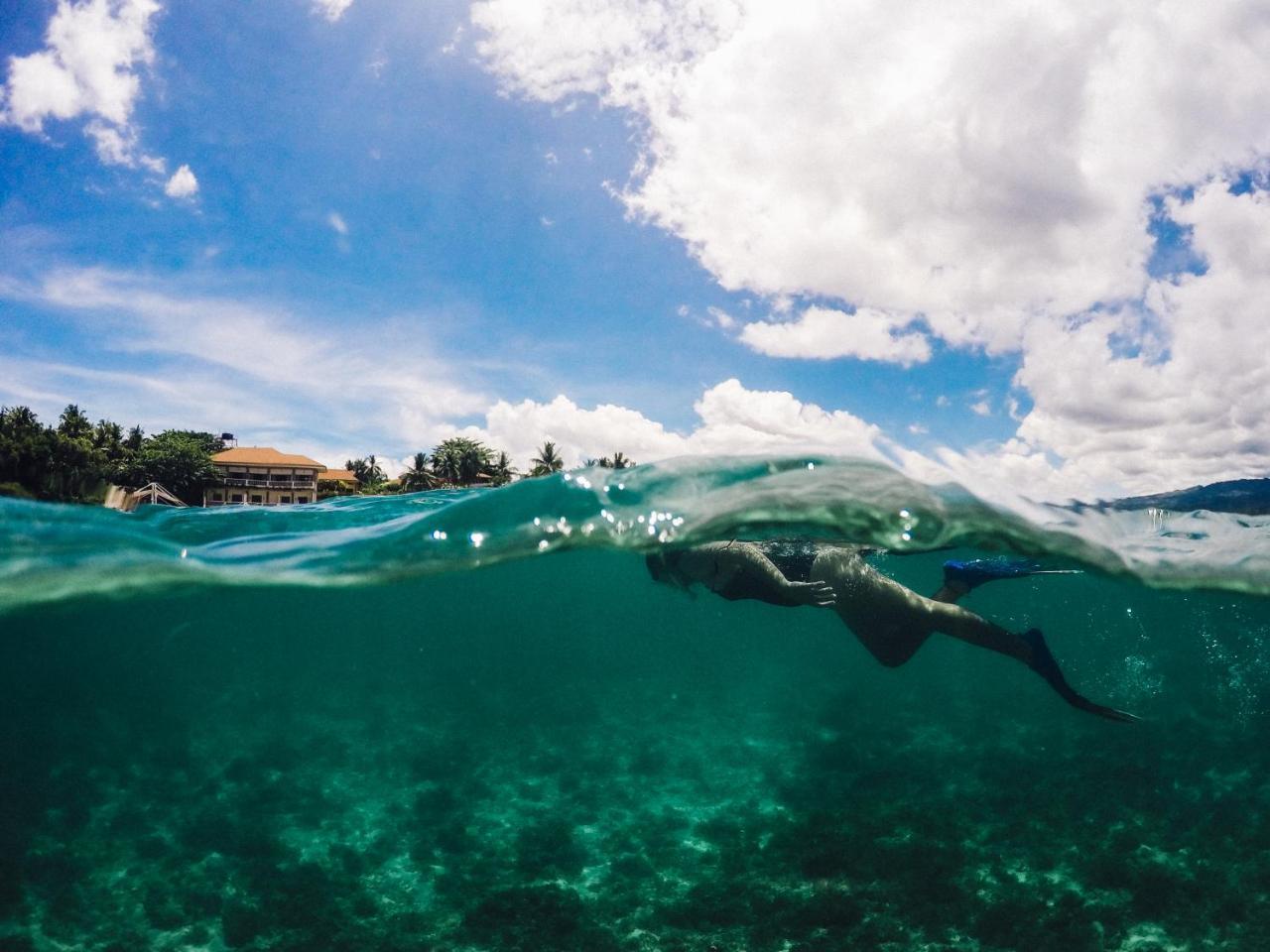 Turtle Bay Dive Resort Moalboal Kültér fotó